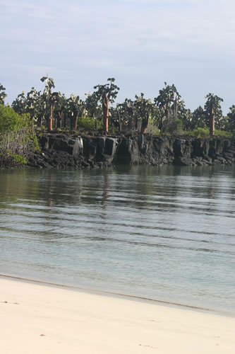 La lagune qui jouxte la baie des tortues.